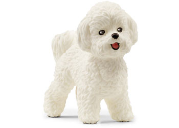 Schleich | Bichon Frise