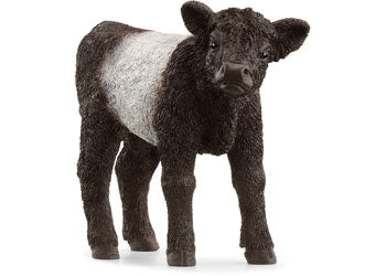Schleich | Galloway Calf