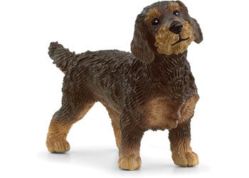 Schleich | Wire-Haired Dachshund