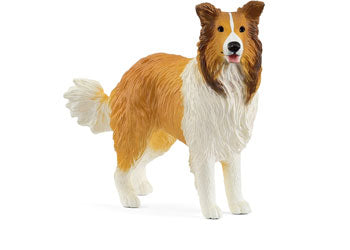 Schleich | Collie (25' Release)