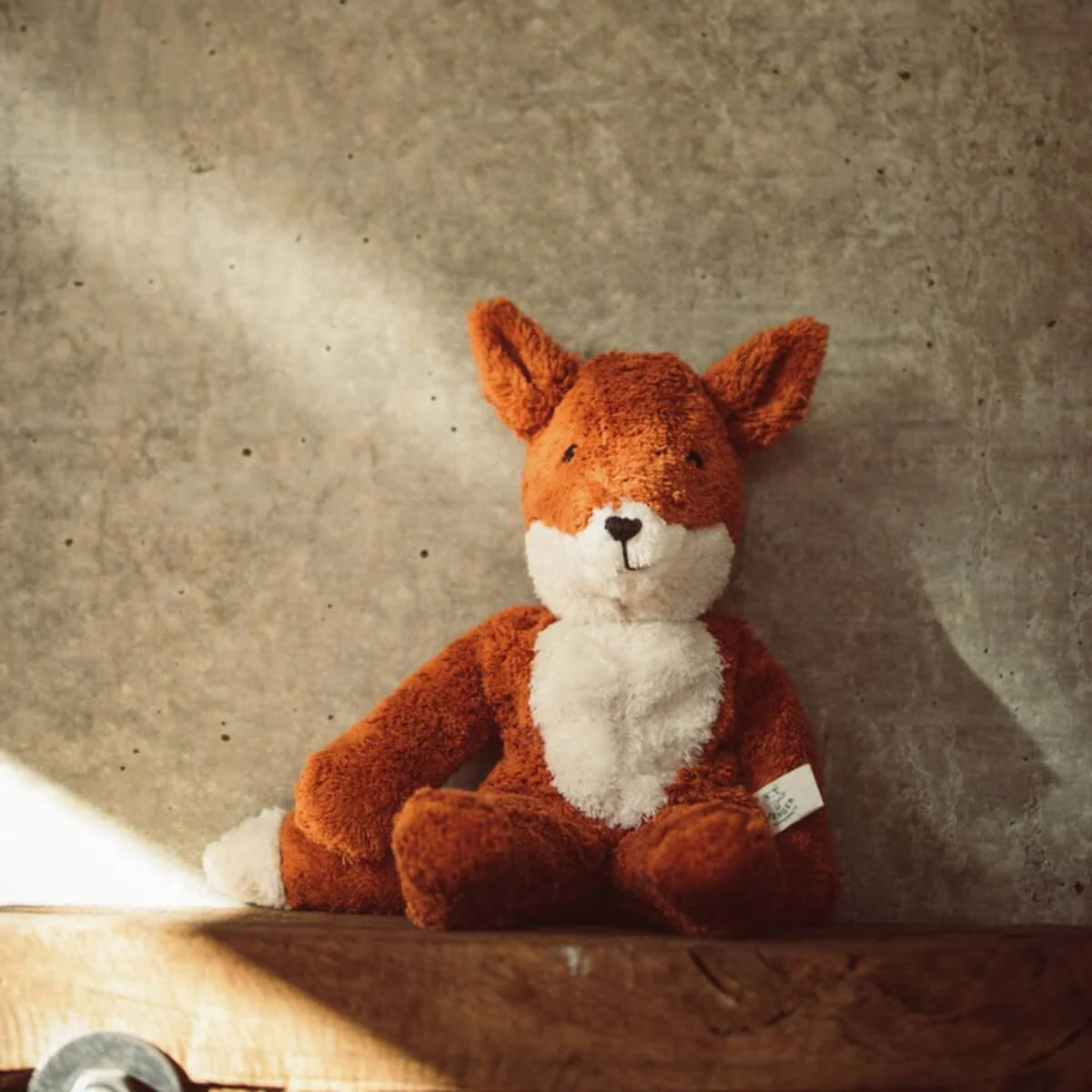 Senger | Fox - Small
