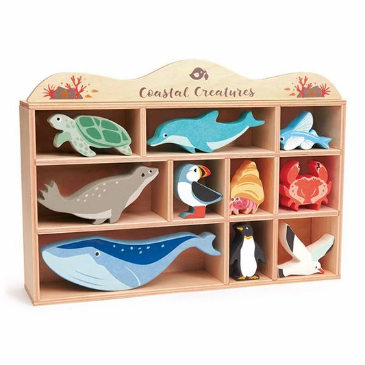 Tender Leaf | Coastal Shelf Set