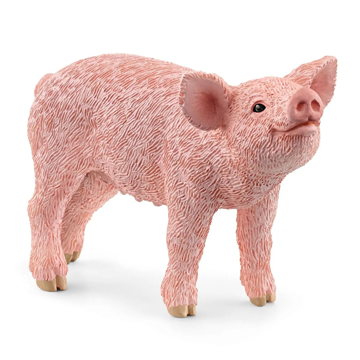 Schleich | Piglet