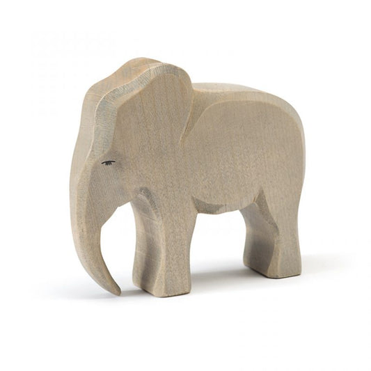 Ostheimer | Elephant - Male