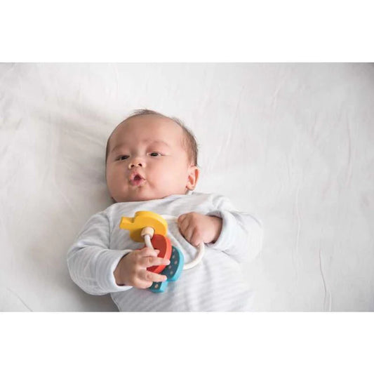 Plan Toys | Baby Key Rattle