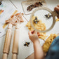 Kinfolk Pantry | Teddy Bear Bee & Honey Comb Eco Cutter Set