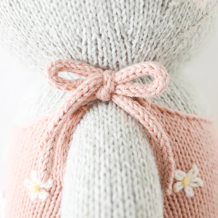 cuddle + kind | Daisy the Kitten