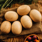 Qtoys | Jumbo Wooden Eggs
