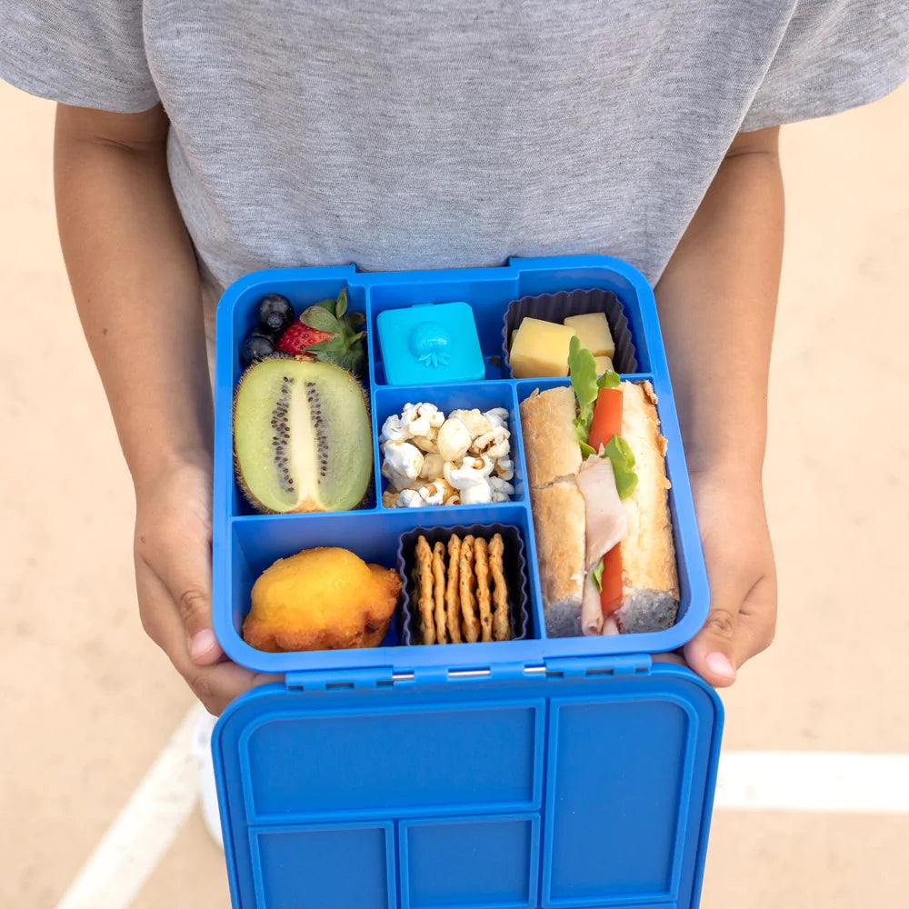 Little Lunch Box Co | Bento Five - Blueberry