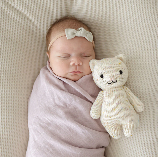 cuddle + kind | Baby Kitten