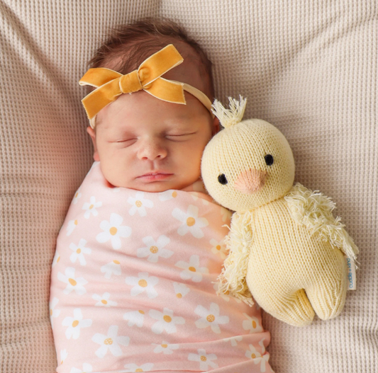 cuddle + kind | Baby Duckling