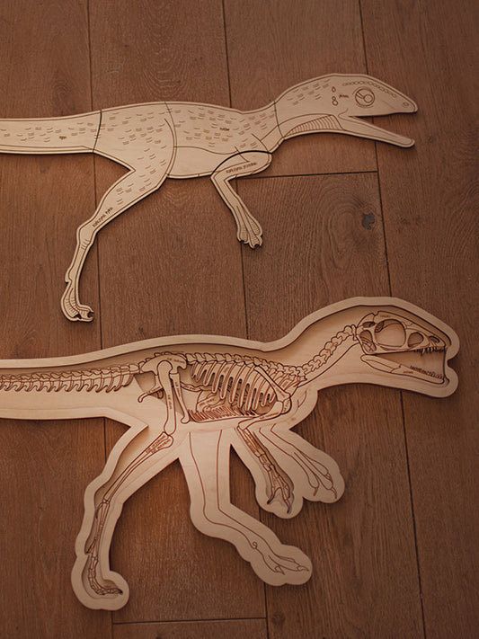 Stuka Puka | Dinosaur Skeleton Puzzle