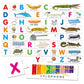 Headu | Montessori Touch ABC