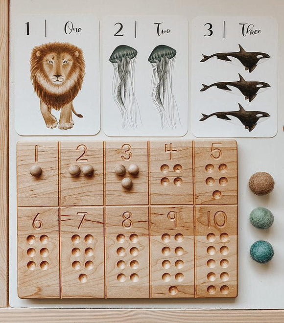 Jo Collier Designs | Natures 123 Flashcards