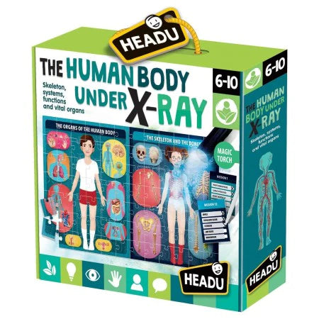 Headu | Human Body Under X-ray