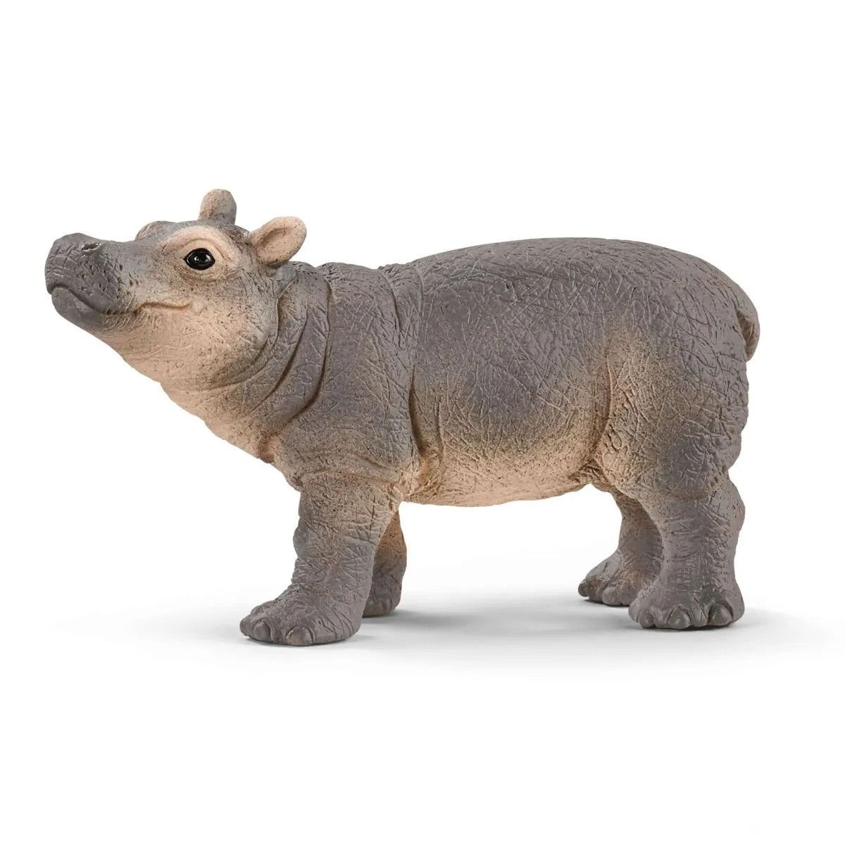 Schleich | Baby Hippopotamus